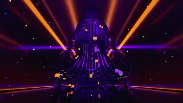 bstract 3D Voxel Human Head VJ Loop