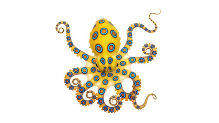 Isolated Blue-Ringed Octopus cephalopod with yellow skin and blue rings ready for predation