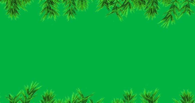 Animation of decoration with green fir tree branch on black background
