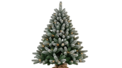 Isolated Christmas tree with lights, no ornaments, festive holiday evergreen for winter seasonal decoration