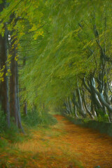 A digital illustration of arching beech trees with autumn foliage and a misty woodland path at Upper Moor in the Derbyshire Dales.