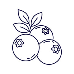 blueberry icon, stack of ripe berries with leaves, fresh blueberries, thin line symbol on white background - editable stroke vector illustration