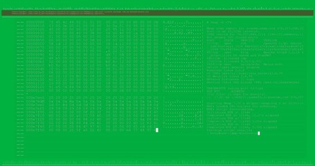 Digital animation of computer interface data processing and programming coding - Powered by Adobe