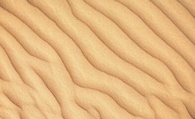 Desert Dune Texture Close Up. Sand texture. Desert surface detail. Abstract background. Sand dune texture . Shifting sand fines in the wind. Sunlit Sand Texture with Soft Waves 