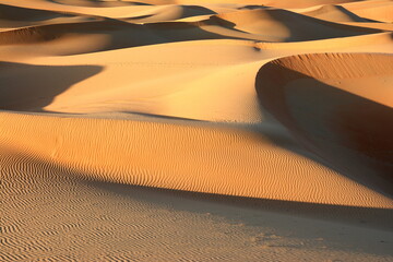 Desert Dune Texture Close Up. Sand texture. Desert surface detail. Abstract background. Sand dune texture . Shifting sand fines in the wind. Sunlit Sand Texture with Soft Waves 