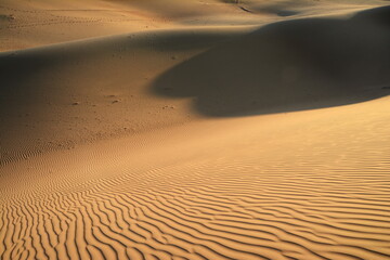 Desert Dune Texture Close Up. Sand texture. Desert surface detail. Abstract background. Sand dune texture . Shifting sand fines in the wind. Sunlit Sand Texture with Soft Waves 