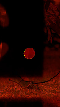 Vertical Film Burn Transition 09