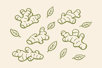 Ginger roots doodle hand drawn sketch vector illustration