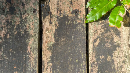 Weathered Wooden Plank Texture Background with Vintage Rustic Surface