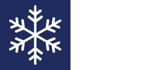 A collection of ten unique white snowflakes in different symmetrical styles, displayed on a vibrant blue background. Vector illustrations set. Snow thick icons set. Festive cold stars, seasonal decor.