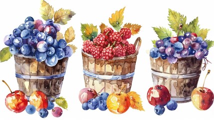Berrybasket harvest cute watercolor business
