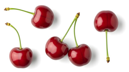 Fresh Ripe Red Cherries with Stems Isolated on White Background