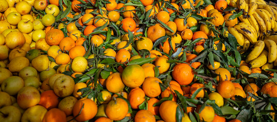 Colorful Fruit Stall at Traditional Moroccan Market
