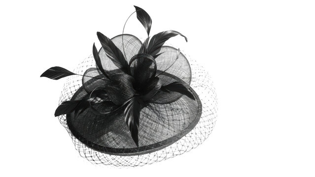 Black fascinator with feathers and netting on black background