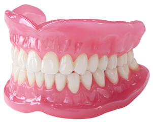 Obraz premium dental model with prosthetic teeth isolated on transparent background