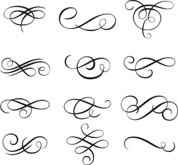 Set of vintage black and white floral design elements featuring vector ornaments, swirls, and leaf patterns in a collection of ornate silhouette illustrations for borders and frames