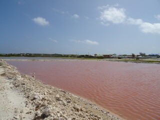 Pink Lake Grand Turk Turks