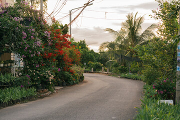 Tranquil road curves through lush greenery framed by vibrant flowers and tropical trees