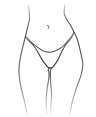 Woman swimsuit bikini panties hand drawn