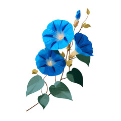 blue flower isolated on transparent, blue flower on transparent