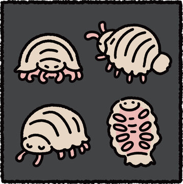 Giant Isopod Bathynomus Giganteus Cute Deep Sea Illustration Set