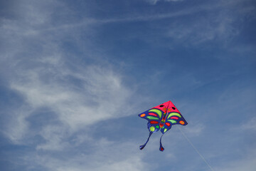 aquilone dai colori brillanti che vola nel cielo prevalentemente sereno durante il giorno