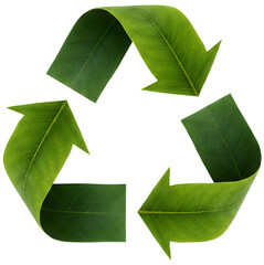 A M&ouml;bius loop recycling symbol creatively rendered using three green leaves folded into the shape of arrows.
