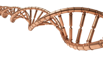 Copper D N A helix structure on black background double helix