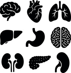 Set of human organs and brain icons featuring vector illustrations and black silhouette design elements for a seamless pattern or medical sign 