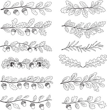 Hand drawn oak branch with acorns and leaves botanical dividers and borders vector set