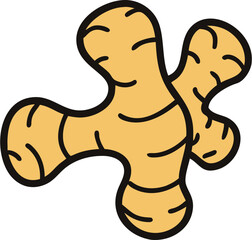 ginger vector illustration