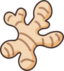ginger vector illustration