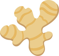 ginger vector illustration