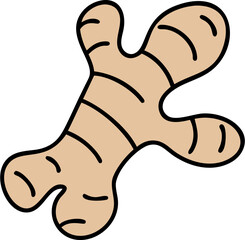 ginger vector illustration