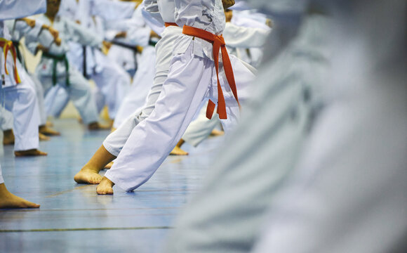 Group of children training martial arts with orange belts indoors