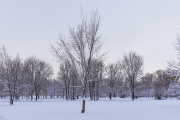 10 December 2025, Al Farabi Avenue, First President's Park, Almaty City Kazakhstan