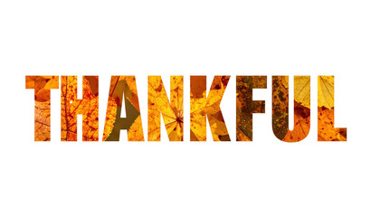 Thankful Text Filled With Autumn Leaves On Transparent Background For Thanksgiving And Seasonal Greetings Festive Fall Concept Isolated Graphic Element