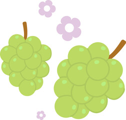 Cute Green Grape