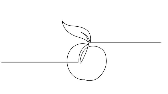 Animated self drawing of single continuous line draw whole healthy organic peach for orchard logo identity. Fresh fruitage concept for fruit garden icon. Full length one line animation illustration.
