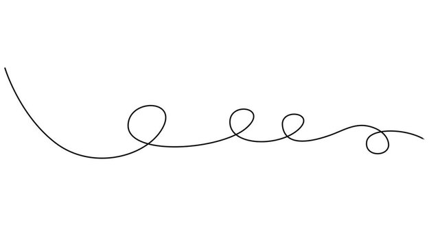 Squiggle line animation continuous one line drawing, Abstract hand drawn dividing thin wave continuous line on white background, Self drawing simple animation of line. Animated continuous on pro style