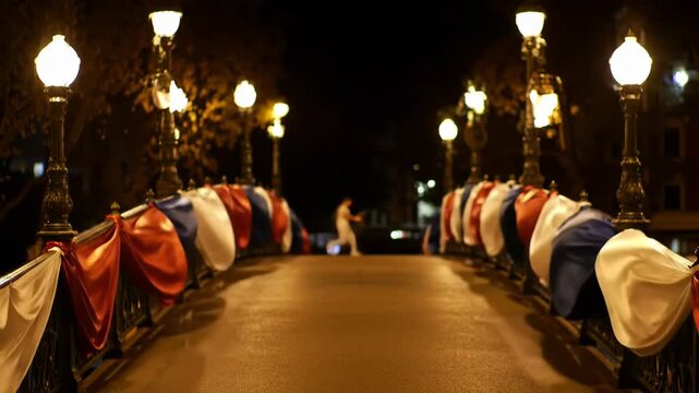 Night view on illuminated bridge with France colors flag decoration and lamps. Travel destination and city landmark.