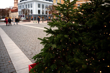 urban christmas scene with illuminated tree and historic buildings in cobblestone square as pedestrians stroll on a winter day with gray sky, leisure, ornament, bustle, framed, perspective, vista