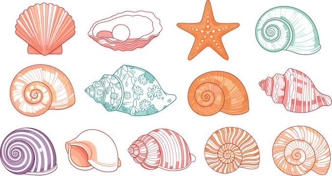 Detailed vector collection of various sea shells featuring a pearl oyster starfish conch snail shells and scallops isolated on a white background.