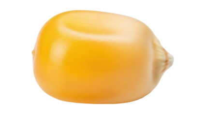 Single yellow corn kernel isolated PNG, close-up of maize seed on transparent background, agriculture and food ingredient