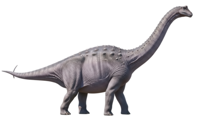 Brontosaurus dinosaur isolated PNG on transparent background, prehistoric creature with long neck and tail for educational and design purposes