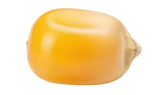 Single yellow corn kernel isolated PNG, close-up of maize seed on transparent background, agriculture and food ingredient