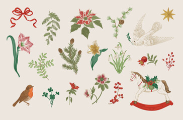 The Winter botanical. Set of floral vector vintage elements. Third part. Colorful