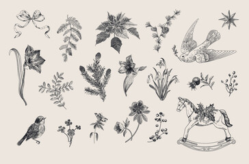 The Winter botanical. Set of floral vector vintage elements. Third part. Black and white