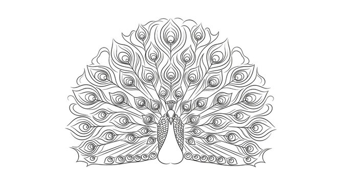 Ornate silver peacock feather pattern on black background intricate