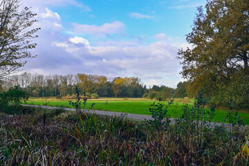 Expansive Green Field Under a Vibrant Sky With Autumn Trees in a Serene Landscape Setting